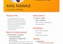 write SEO blog articles and website content for you